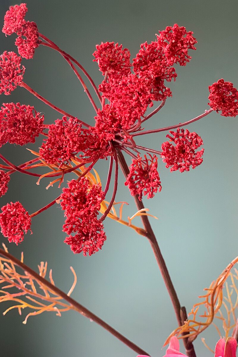 Pip Bloemen Grand Fleur