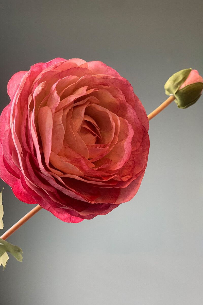 Pip Bloemen Grand Fleur