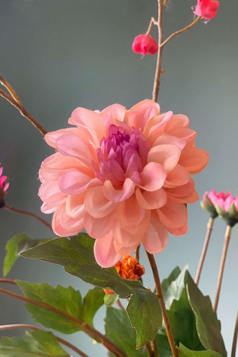 Pip Blumen Pip Garden