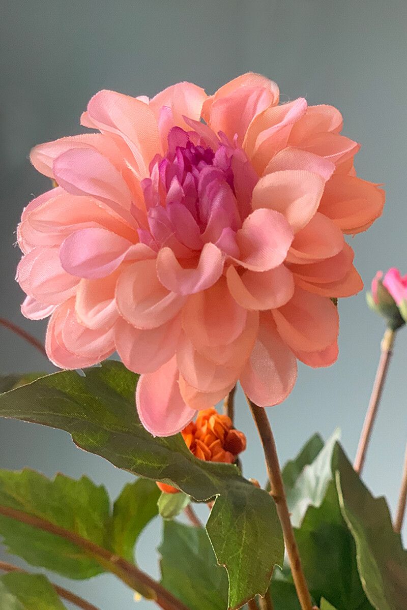 Pip Blumen Pip Garden