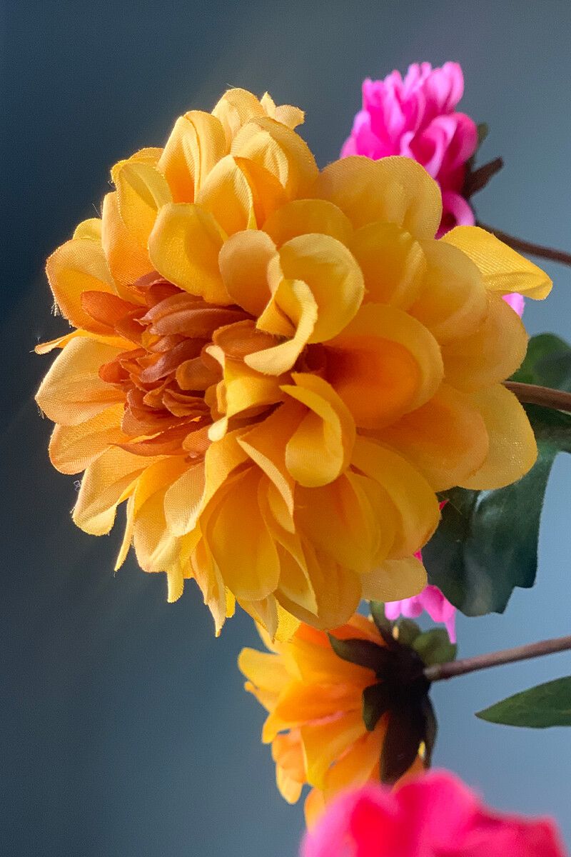Pip Blumen Pip Garden
