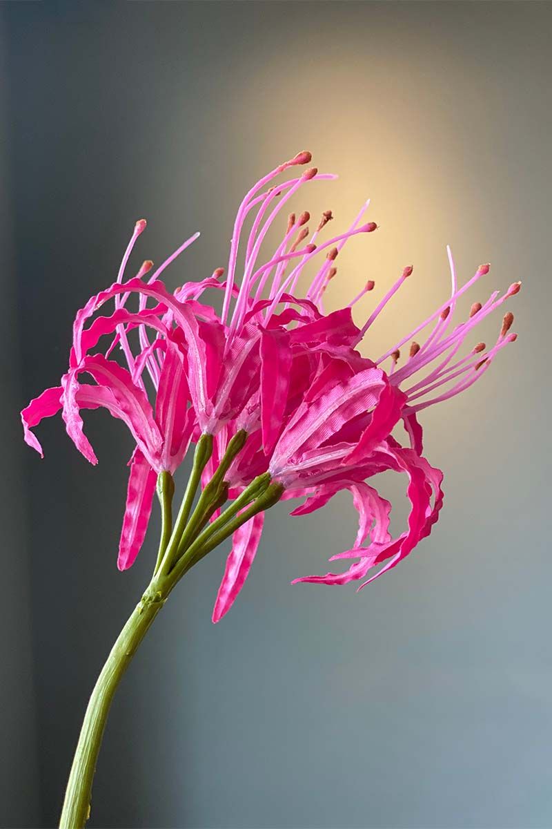 Pip Künstliche Blumen Summer Feelings