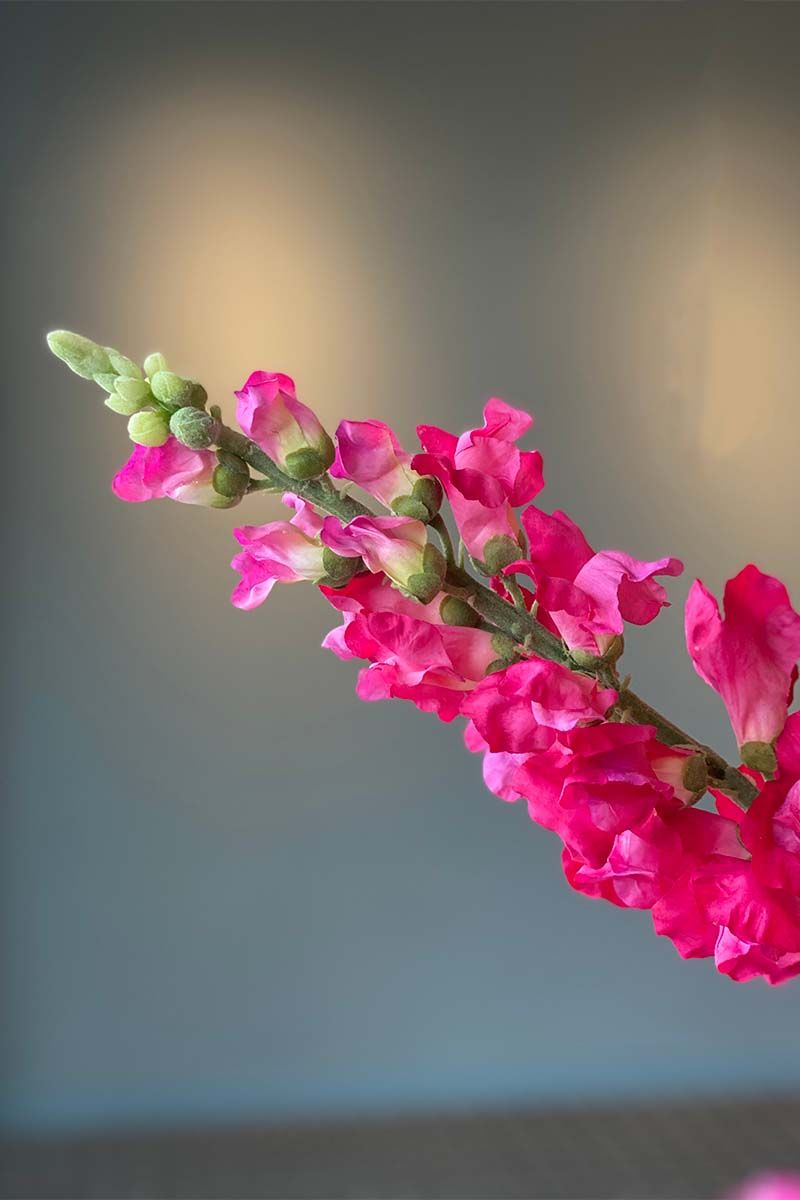 Pip Künstliche Blumen Summer Feelings
