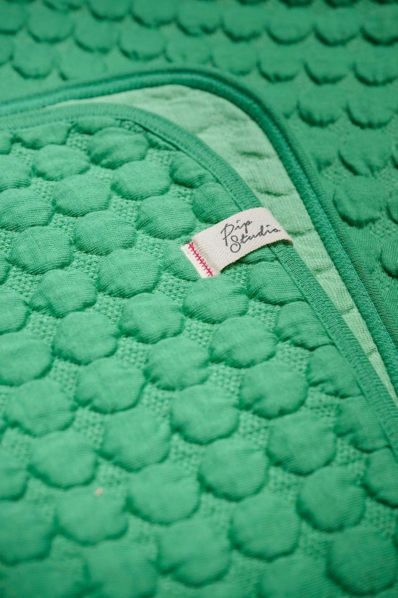 Plaid Fill in the dots Groen