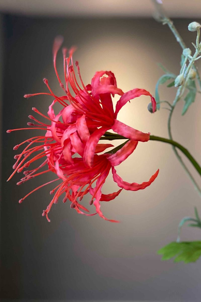 Pip Künstliche Blumen Romantic Blush