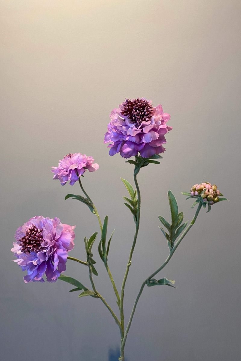 Pip Künstliche Blumen Purple Love