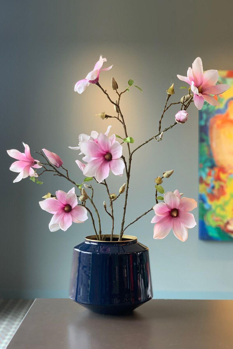 Flowering Plant Cheerful Magnolia