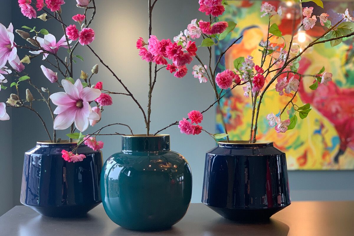 Flowering Plant Cheerful Magnolia