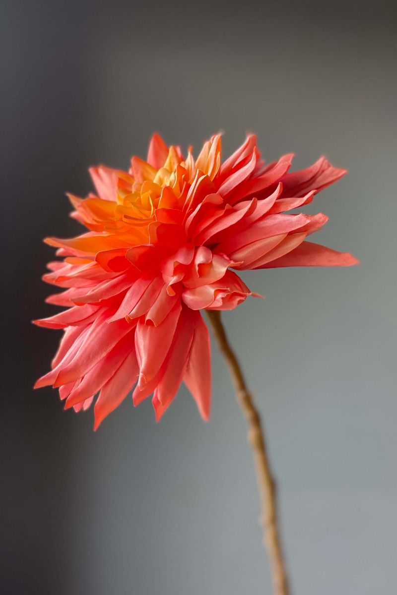 Pip Künstliche Blumen Sweet Symphony