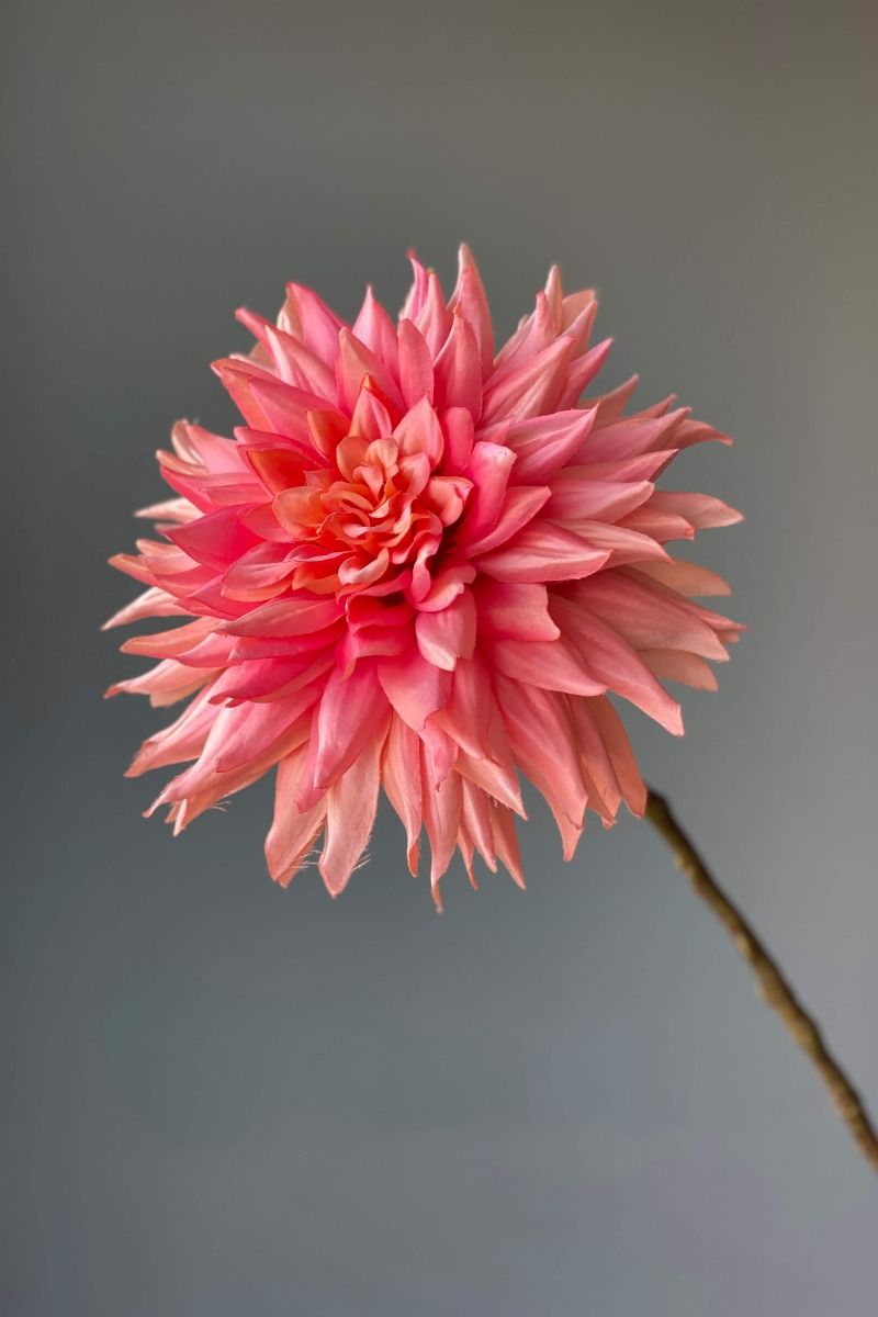 Pip Künstliche Blumen Vanilla Bloom