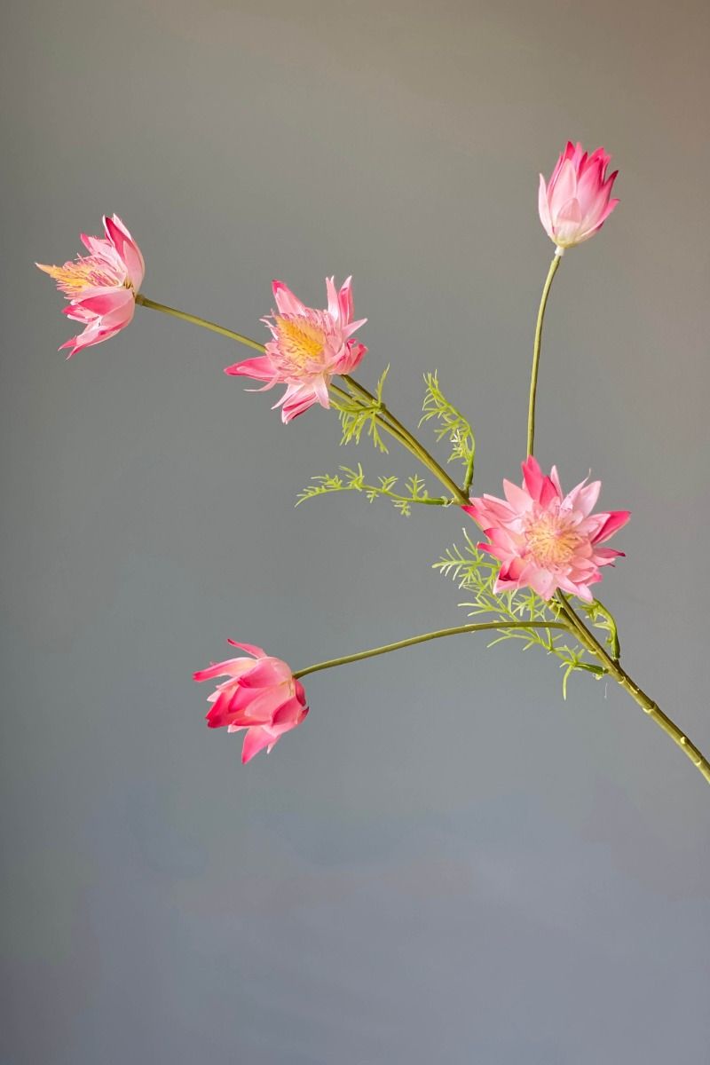 Pip Künstliche Blumen Vanilla Bloom