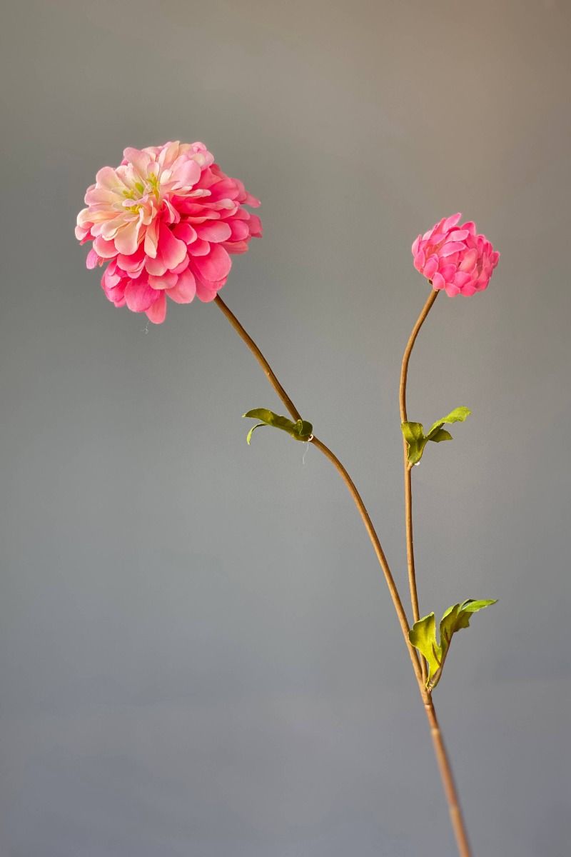 Pip Künstliche Blumen Vanilla Bloom