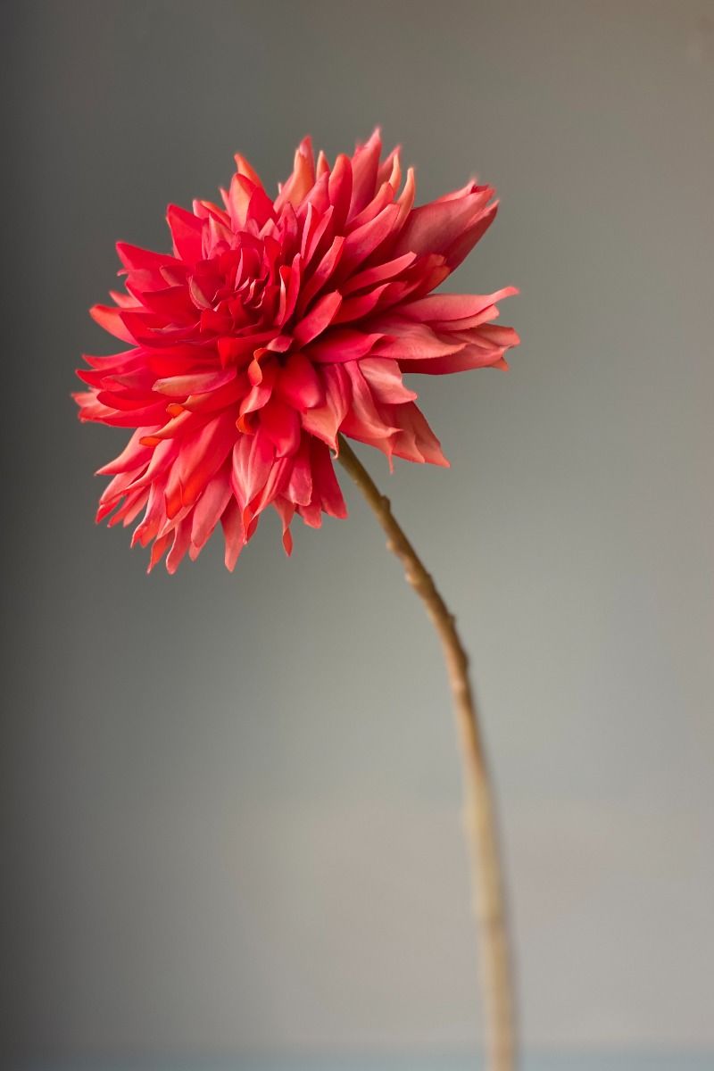 Pip Künstliche Blumen Cherry Crush