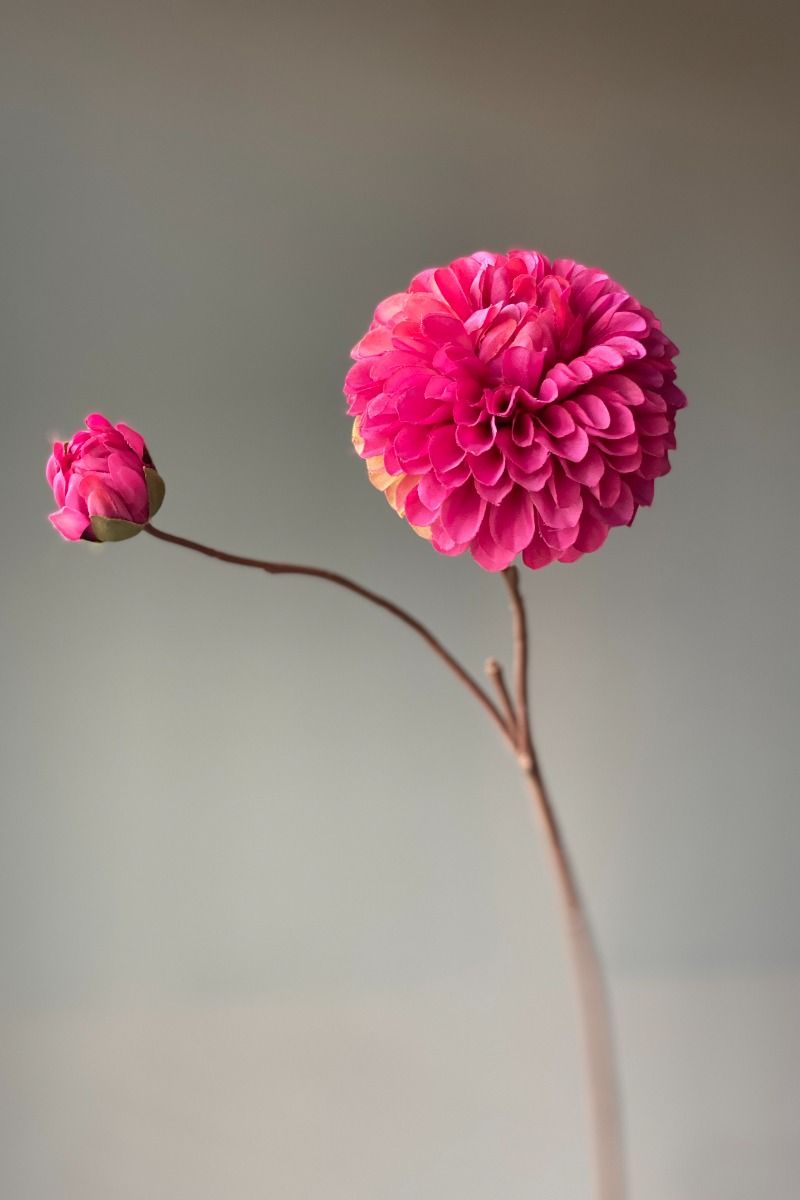 Pip Künstliche Blumen Cherry Crush