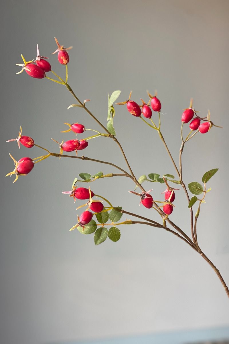 Pip Künstliche Blumen Cherry Crush