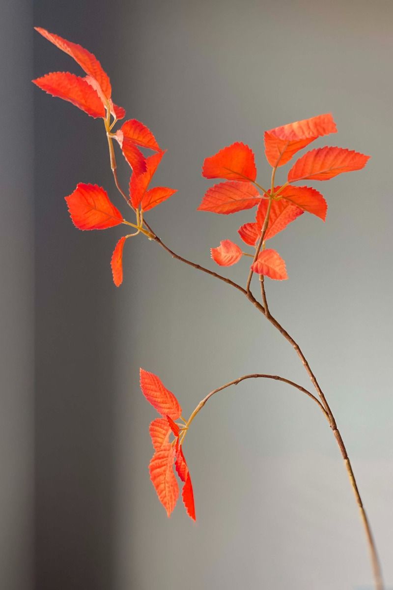 Pip Künstliche Blumen Autumn Leaves