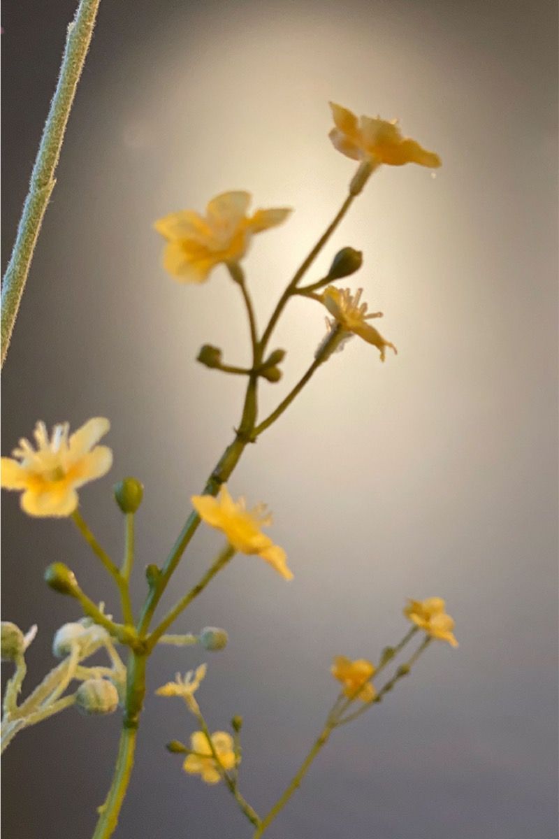 Pip Künstliche Blumen Tokyo Bouquet 