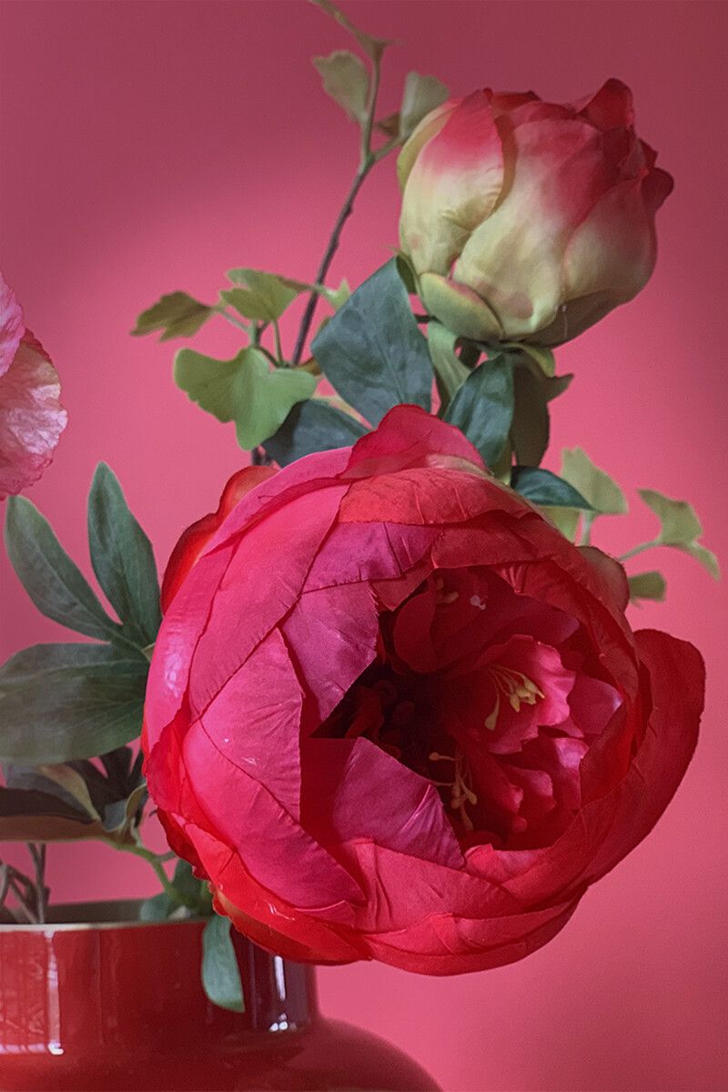 Pip Blumen Love Explosion