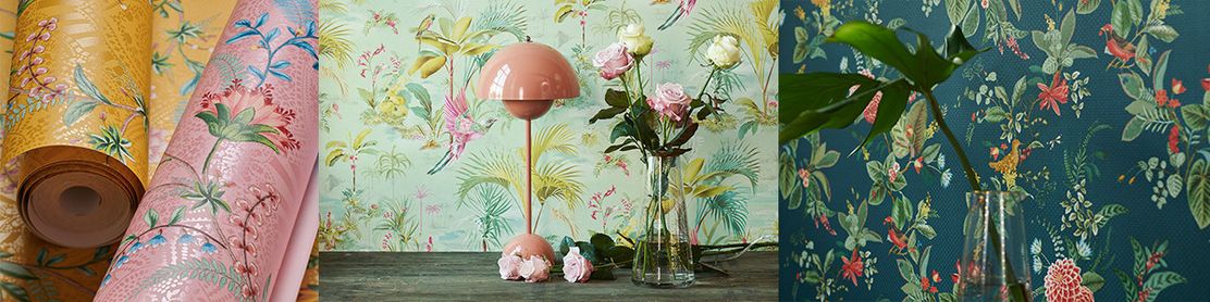 NIEUWE: Collectie