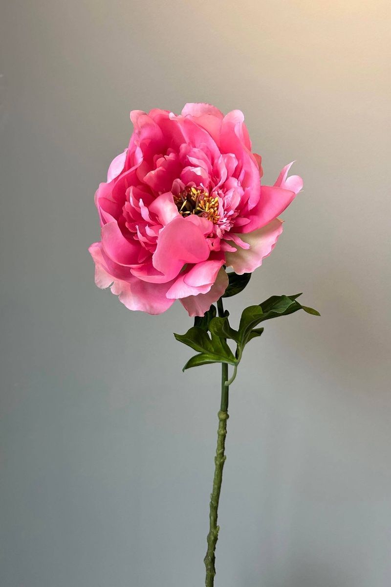 Pip Artificial Flowers Rosefield Dreams