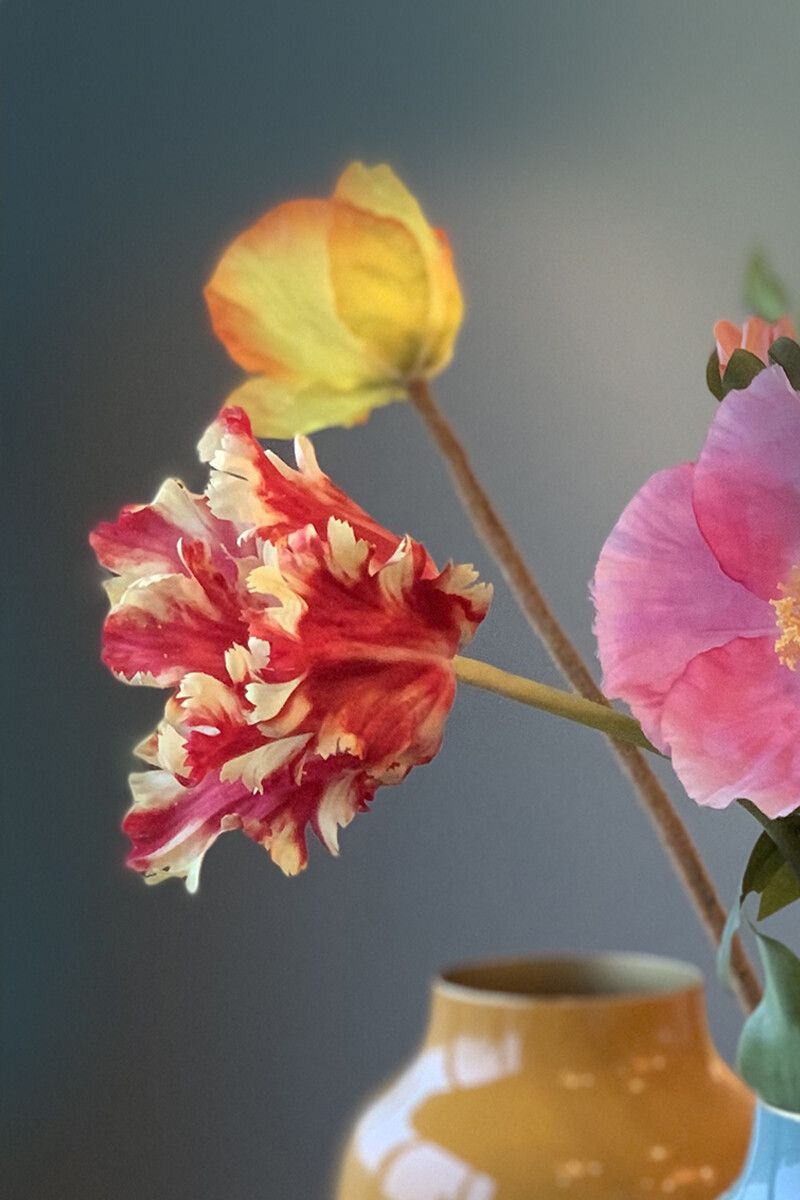 Pip Blumen Colour in The Field