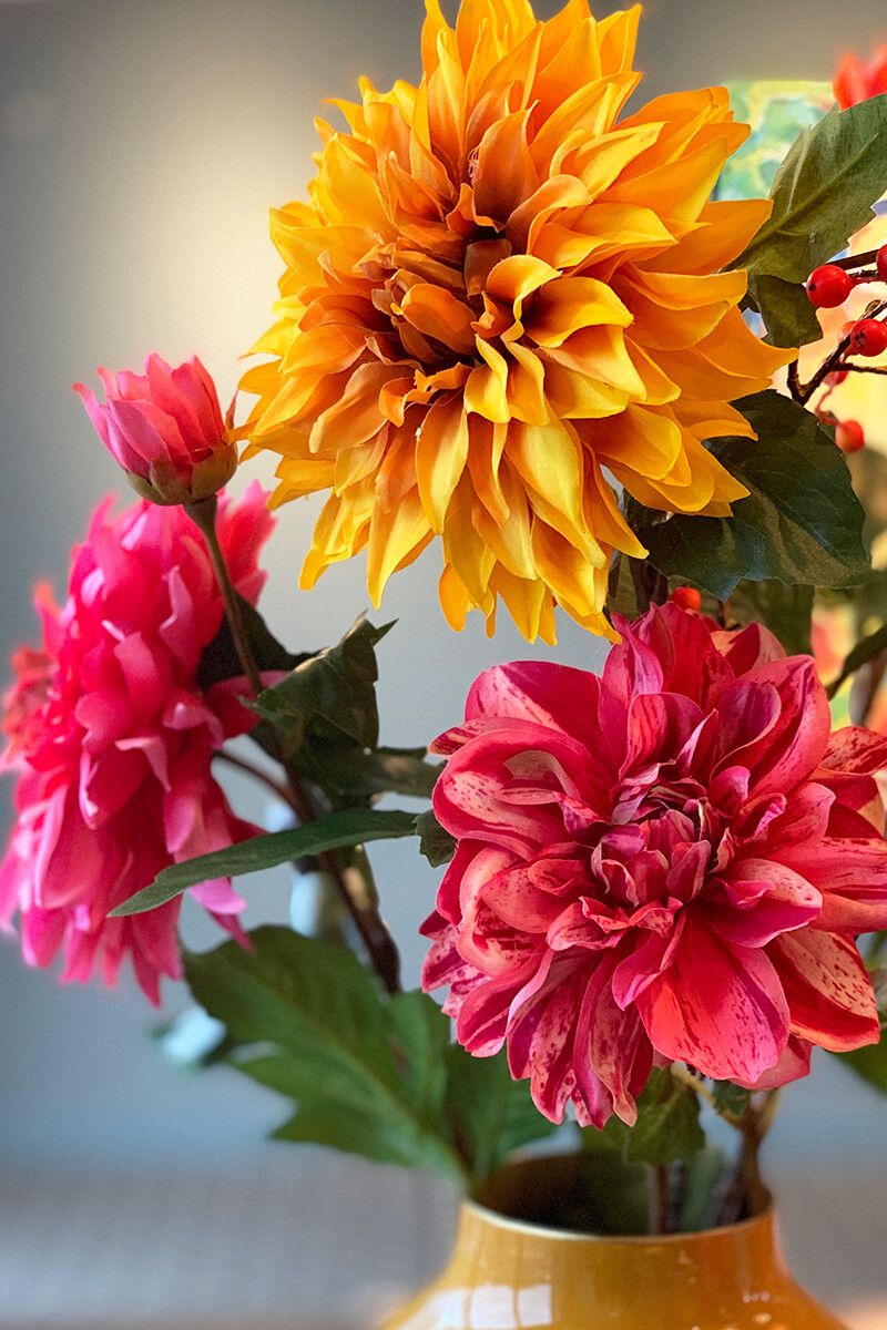 Cheerful Dahlia Pip Flowers