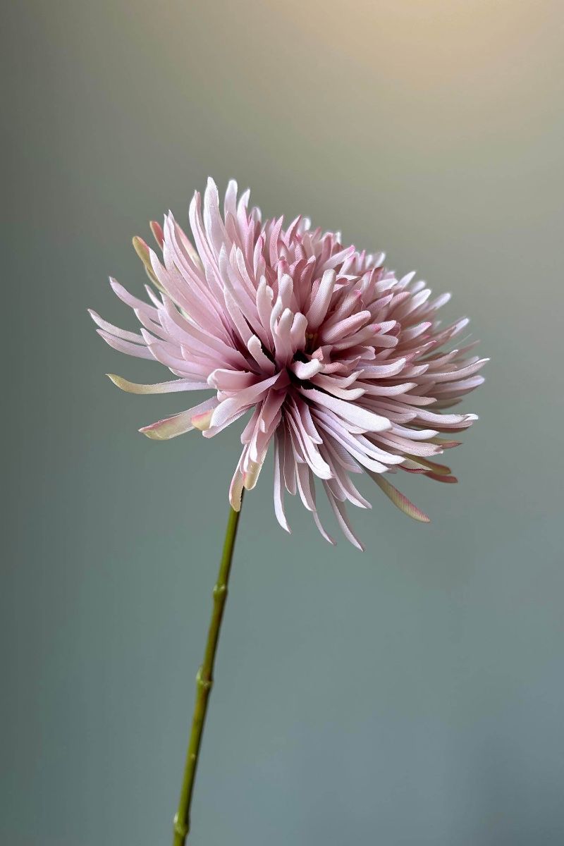 Pip Kunstbloemen Soft Bloom