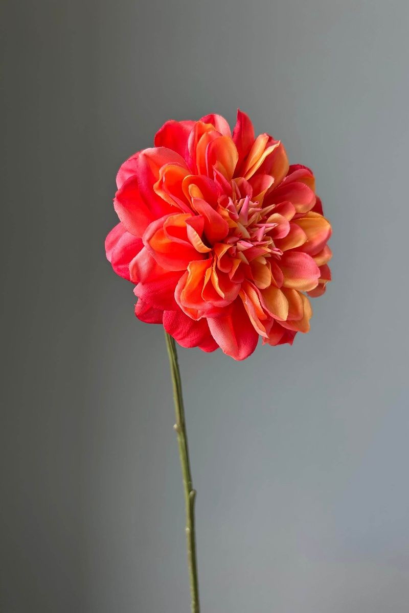 Pip Künstliche Blumen Cosy Colourful