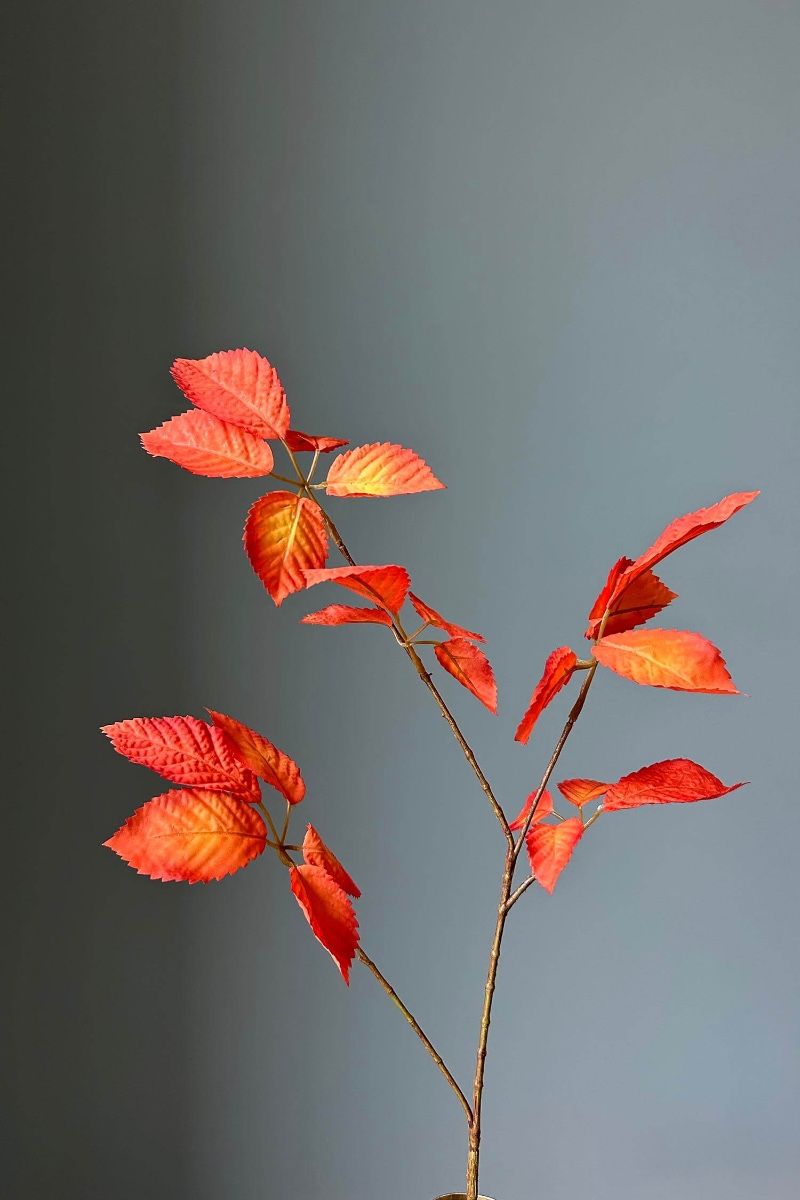 Pip Kunstbloemen Warm Winter