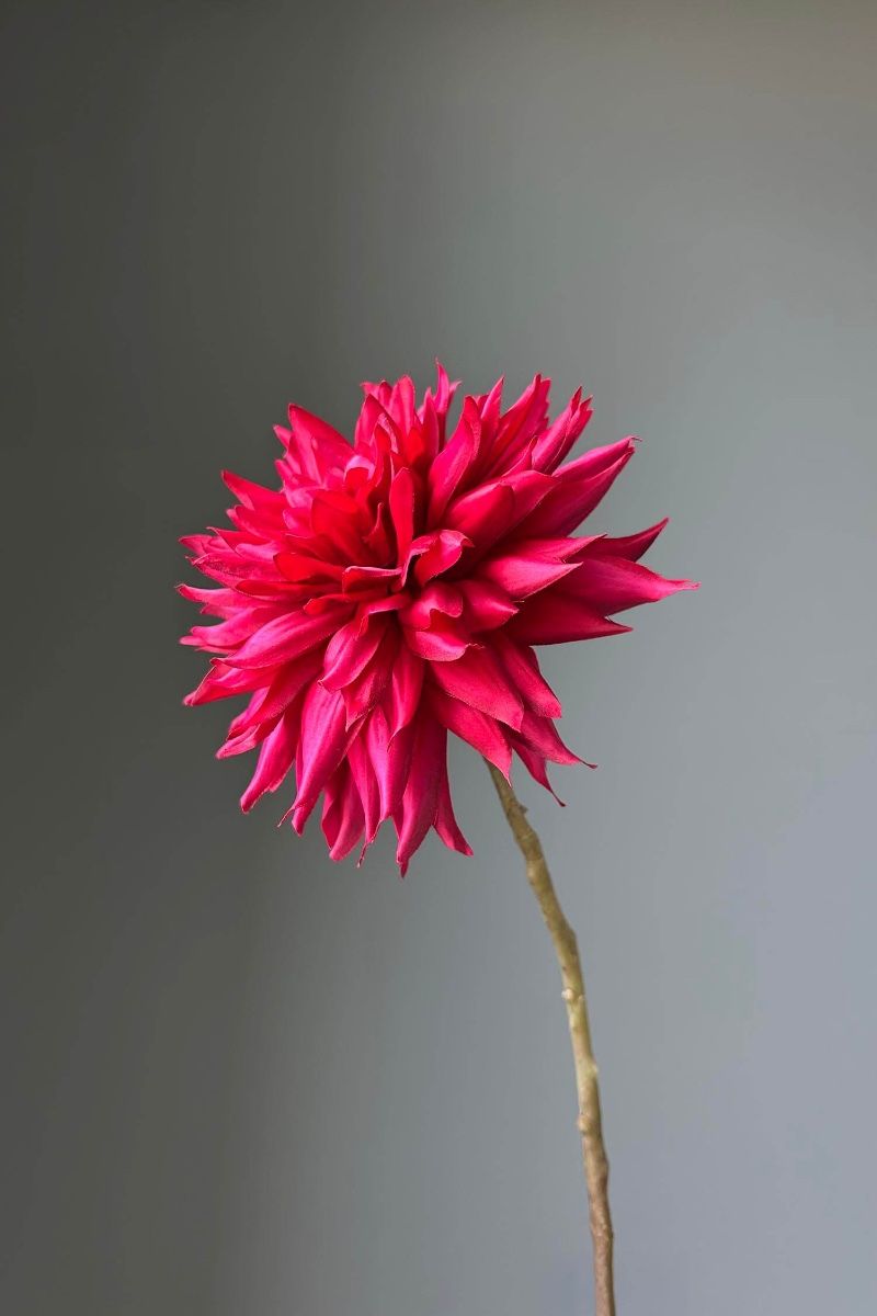 Pip Kunstbloemen Warm Winter