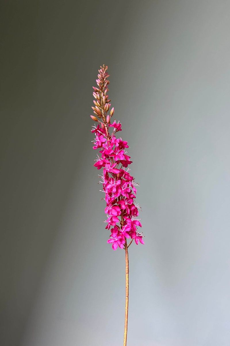 Pip Kunstbloemen Warm Winter