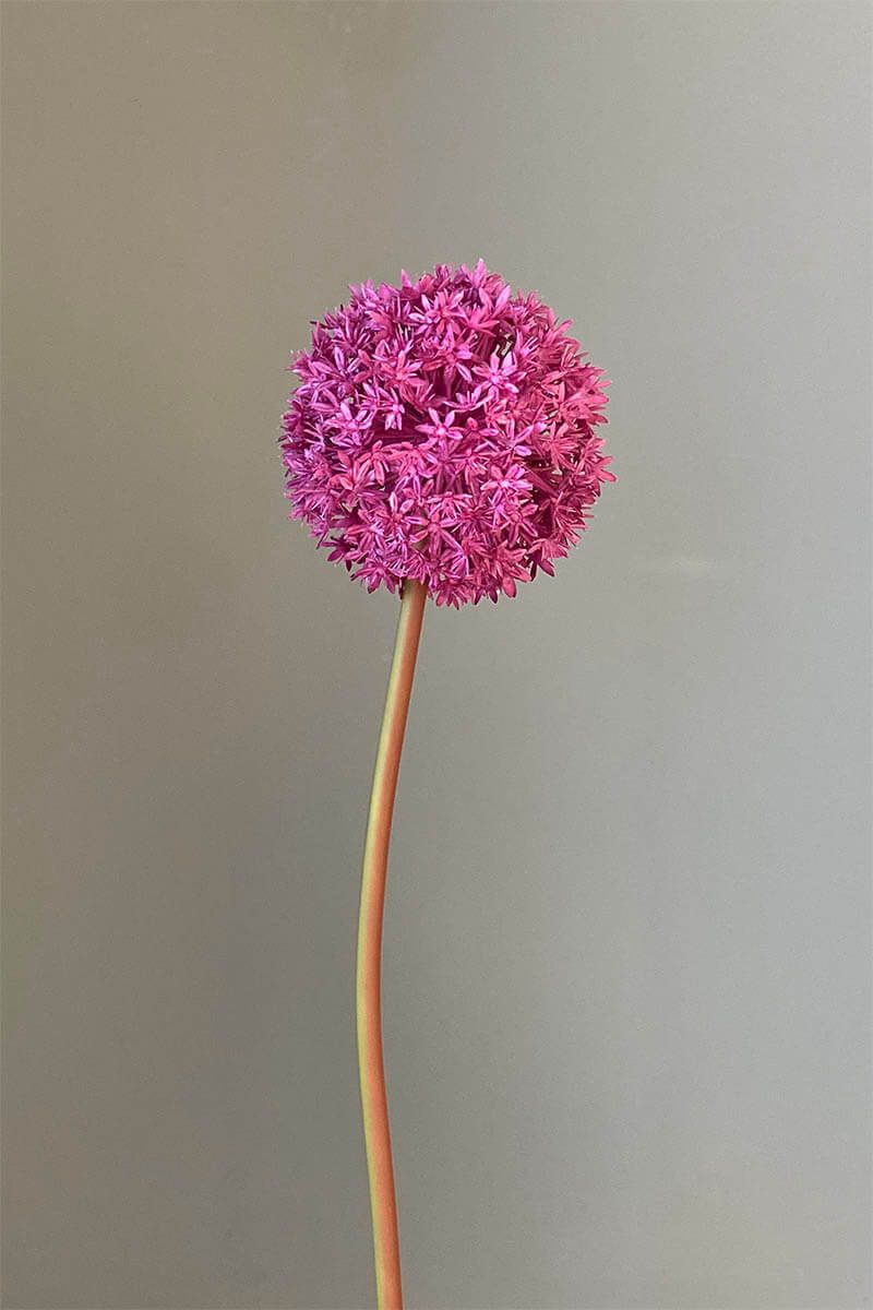 Pip Artificial Flowers Sunset Glow
