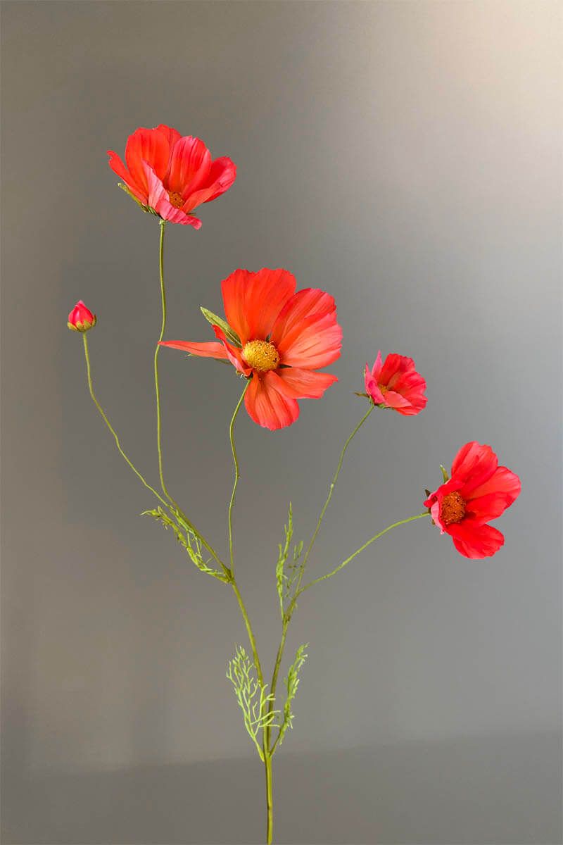 Pip Artificial Flowers Sunset Glow