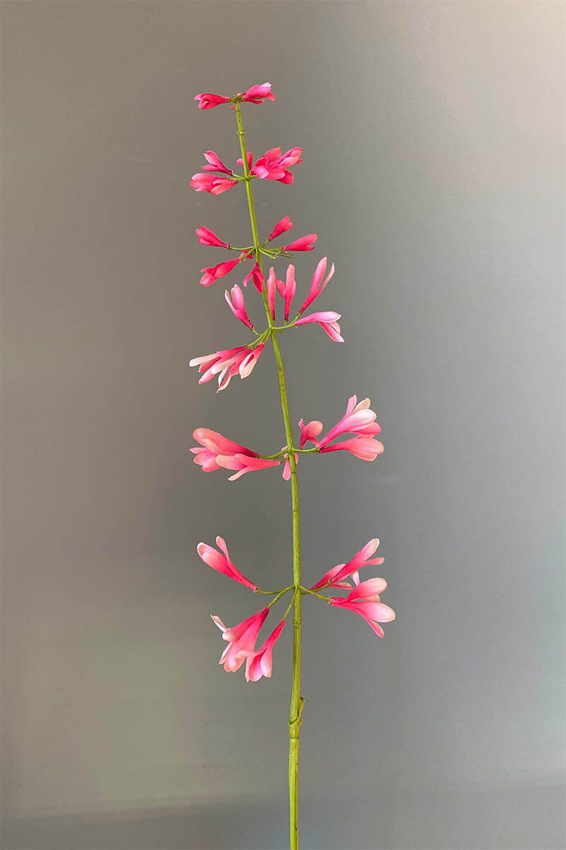 Pip Artificial Flowers Sunset Glow