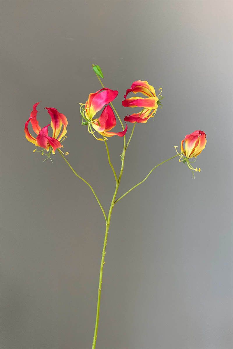 Pip Künstliche Blumen Blooming Love