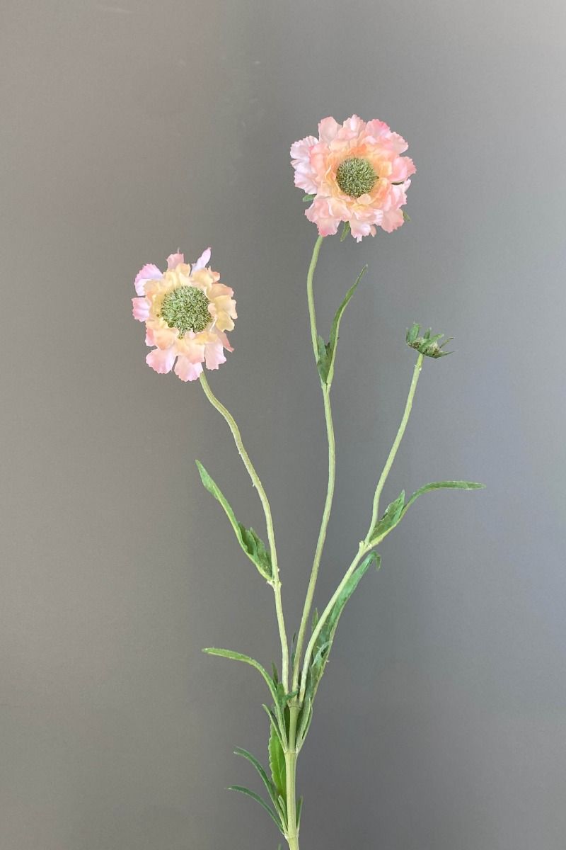 Pip Kunstbloemen Soft Harmony