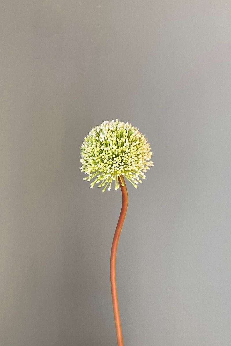 Pip Kunstbloemen Soft Harmony