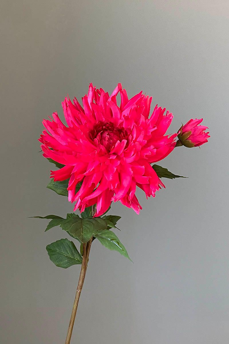 Pip Künstliche Blumen Coral Sunrise