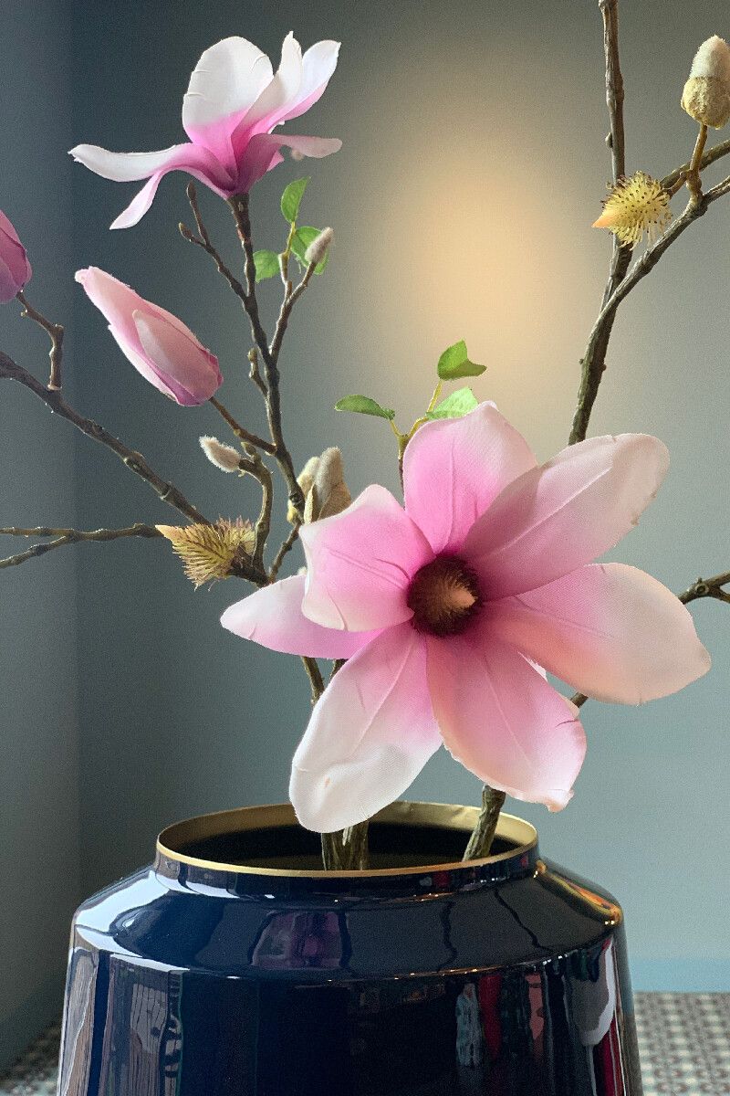 Flowering Plant Cheerful Magnolia