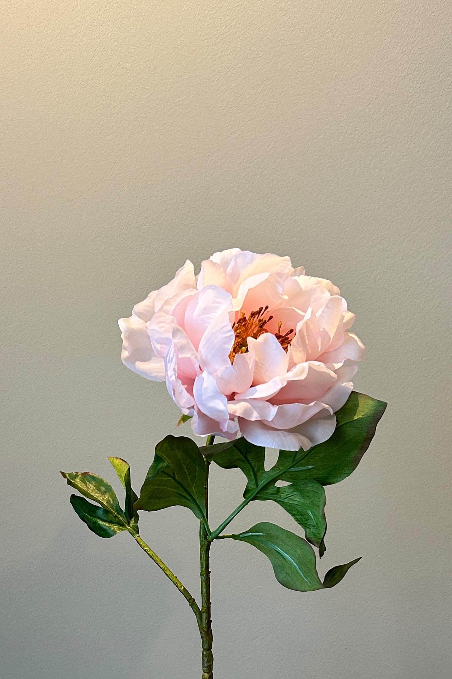 Pip Fleurs Artificielles Rosefield Dreams