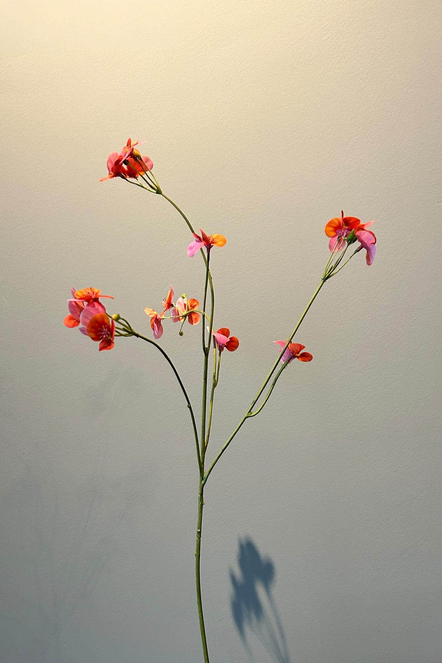 Pip Fleurs Artificielles Rosefield Dreams