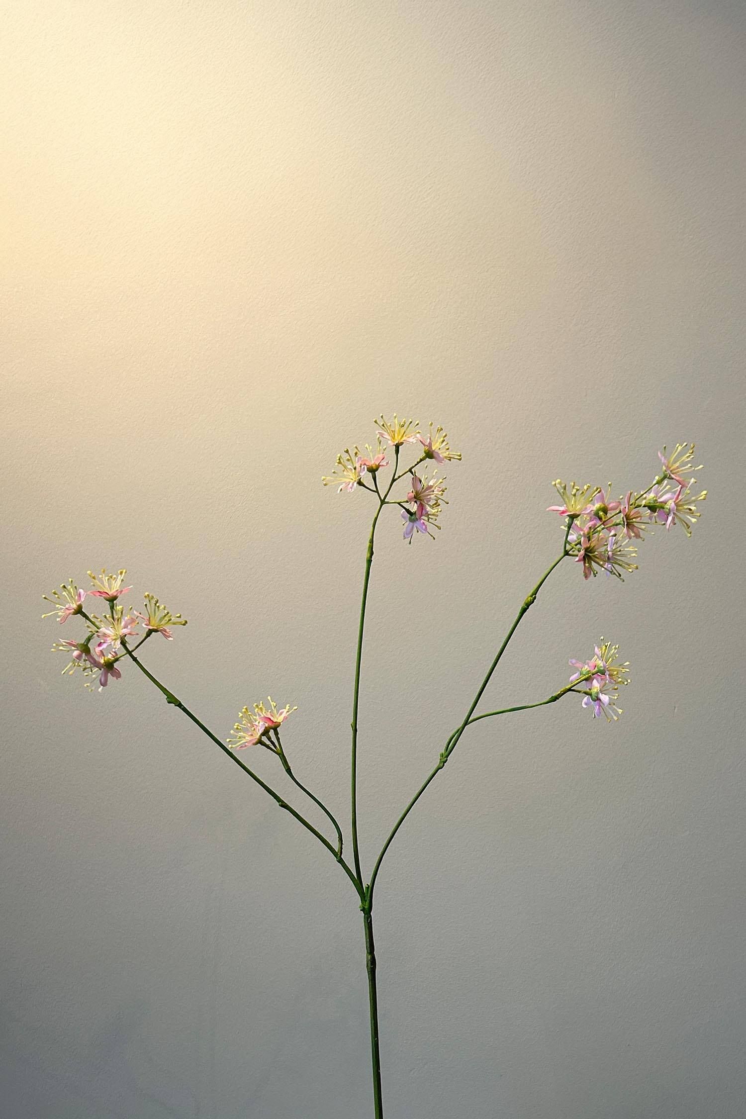 Pip Fleurs Artificielles Rosefield Dreams