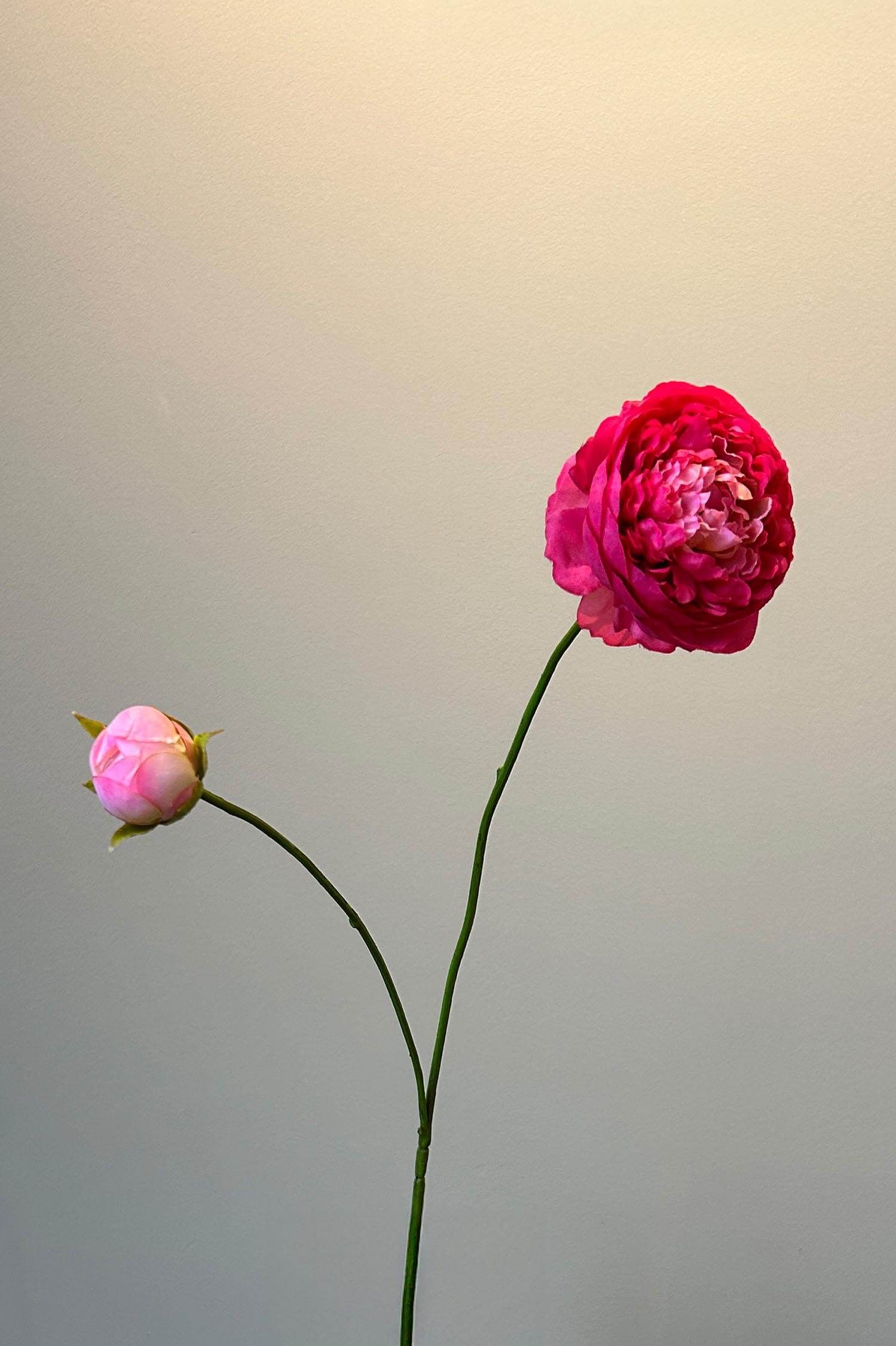 Pip Kunstbloemen Where Ranunculus Bloom