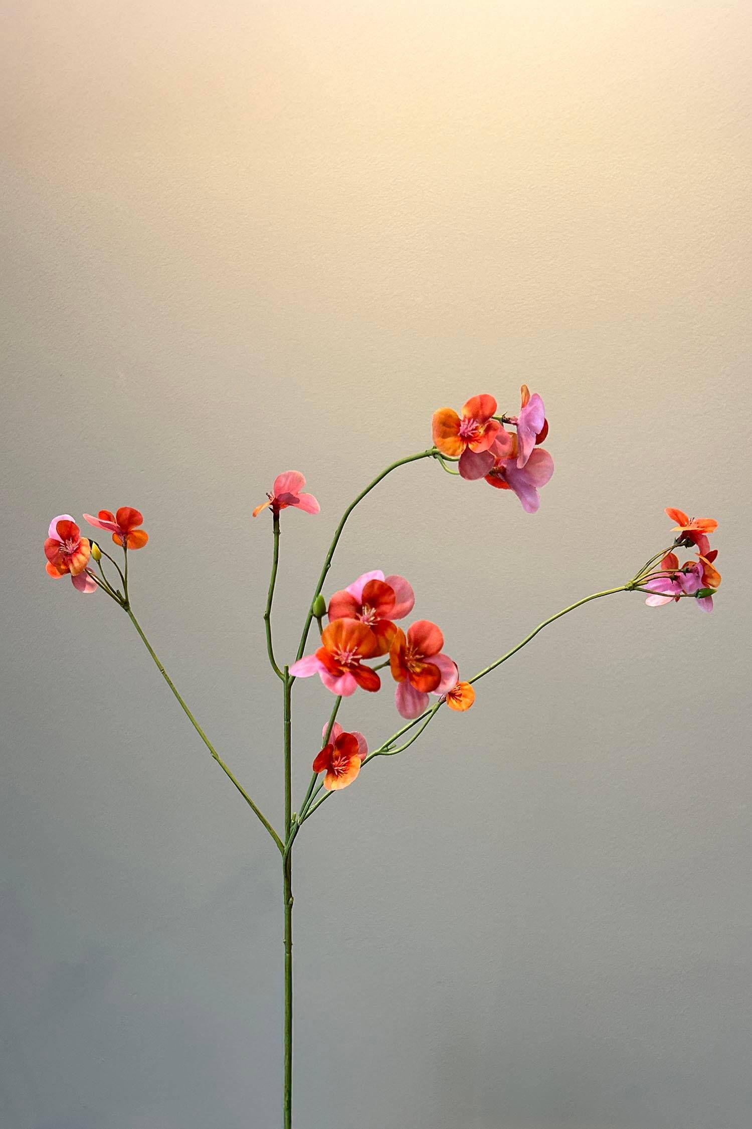 Pip Kunstbloemen Peach Blossom