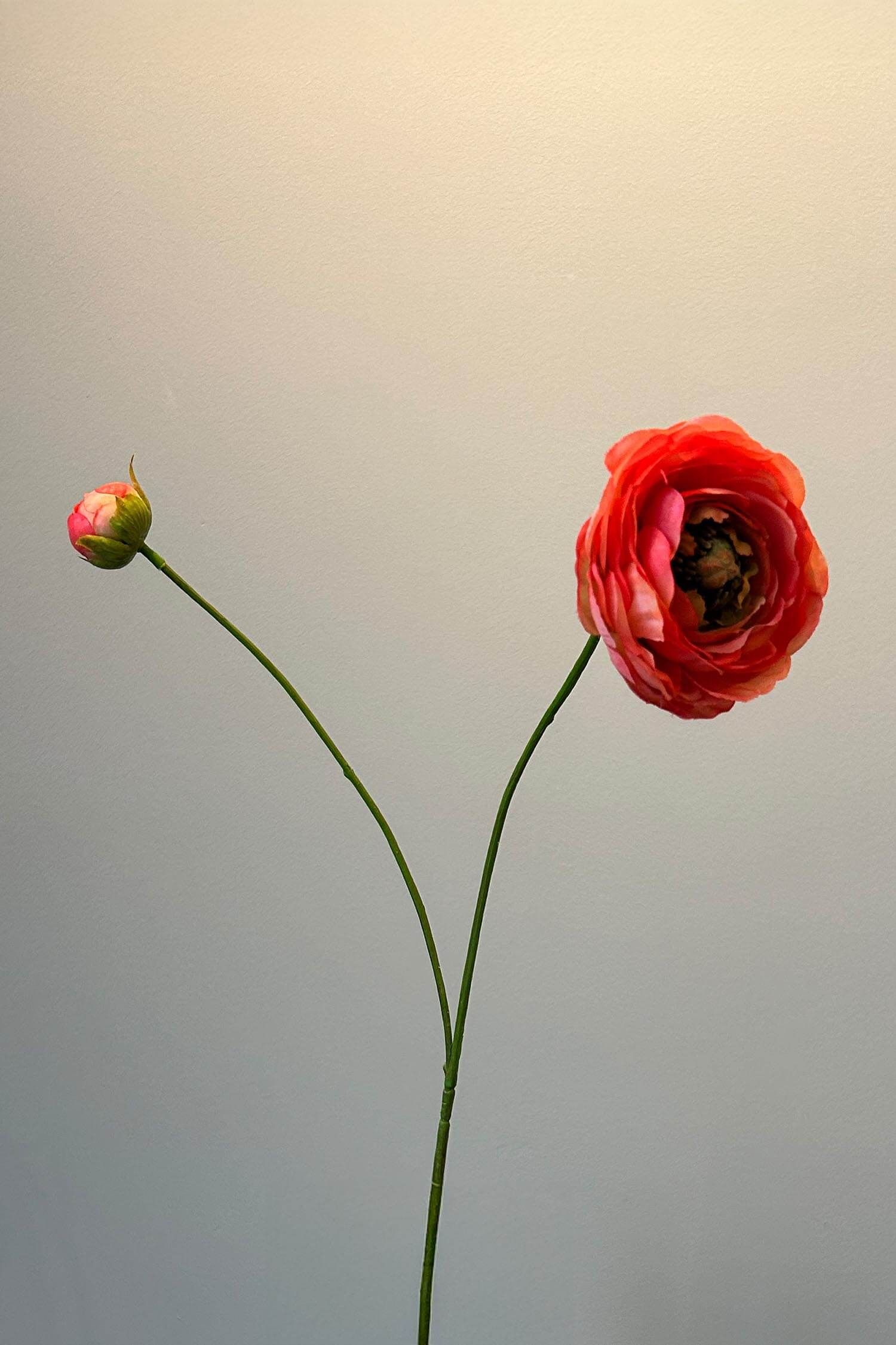 Pip Kunstbloemen Where Ranunculus Bloom