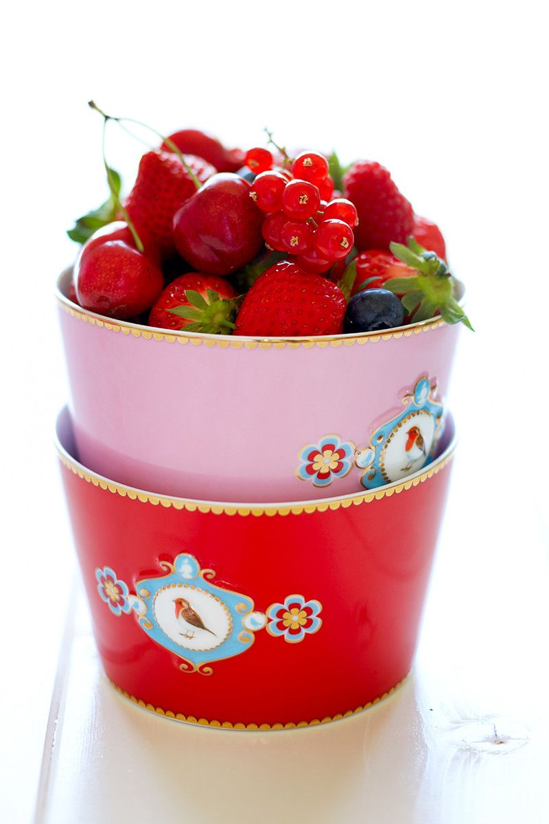 Love Birds Kom Rood 20 cm