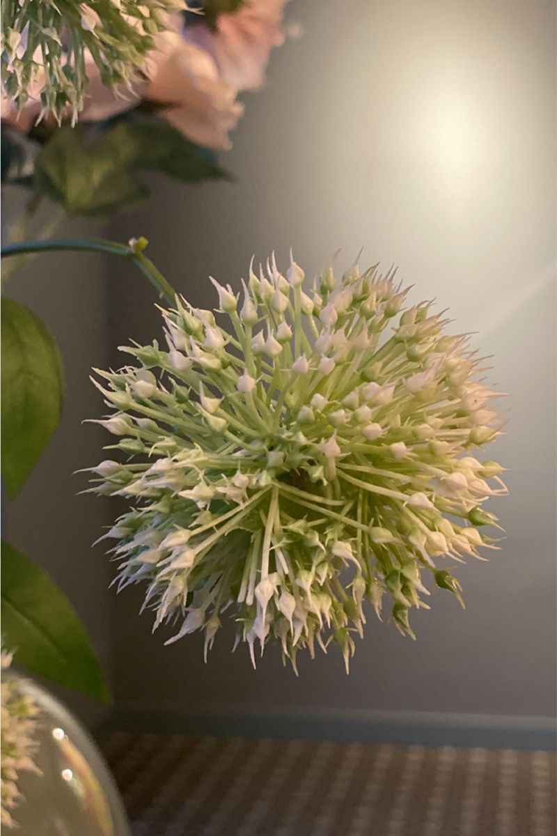 Pip Künstliche Blumen Paradise