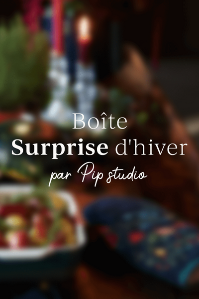 Boîte Surprise d'hiver par Pip Studio