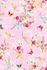 Pip Studio Chinese Rose Vliestapete Hellrosa