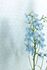 Pip Studio Shanghai Bows Non-Woven Wallpaper Blue